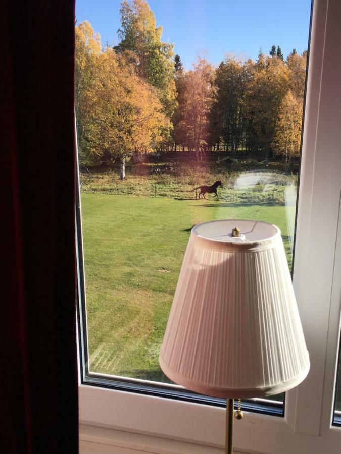 Stornasets Pensionat Och Vandrarhem Sundsvall Esterno foto